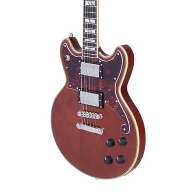 D'Angelico Deluxe Brighton Matte Walnut w/Case image 5