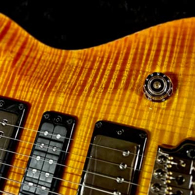 PRS Special 22 Semi-Hollow Private Stock image 10