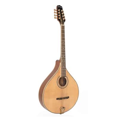 Gold Tone OM-800+ Octave Mandolin - Open Box image 2