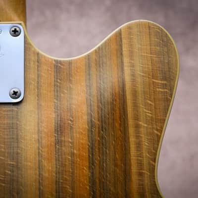 FENDER USA Vintage Wildwood Coronado II Hollow Body "Wildwood + Rosewood" (1969) image 19