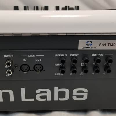 Open Labs Miko Timbaland Special Edition Keyboard Workstation w/Keal Wheeled Flight Case image 12