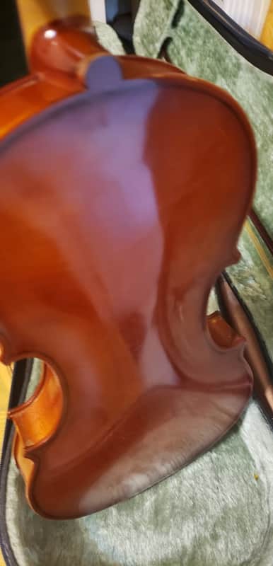 GEWA Mittenwald Karwendel 4/4 Size Violin with Case and Bow | Reverb