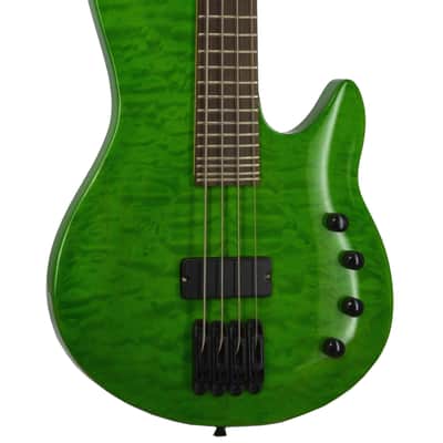 Fishbone Model FBD-04-G 4 string Bass Guitar- Awesome bass Guitar image 1