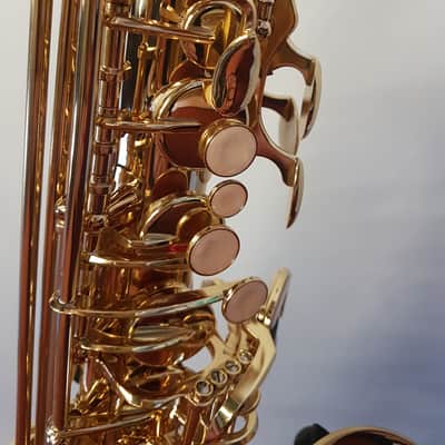 Artemis A1 Alto Sax Outfit - Gold Lacquer image 2