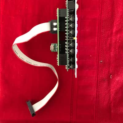Intellijel Scales 2 channel Quantizer image 4