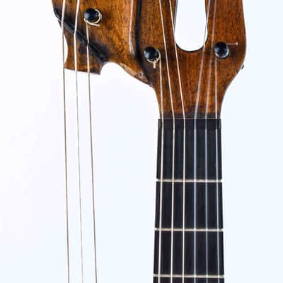 Giacinti Celeste & Figlio Harp Guitar 1880s image 2