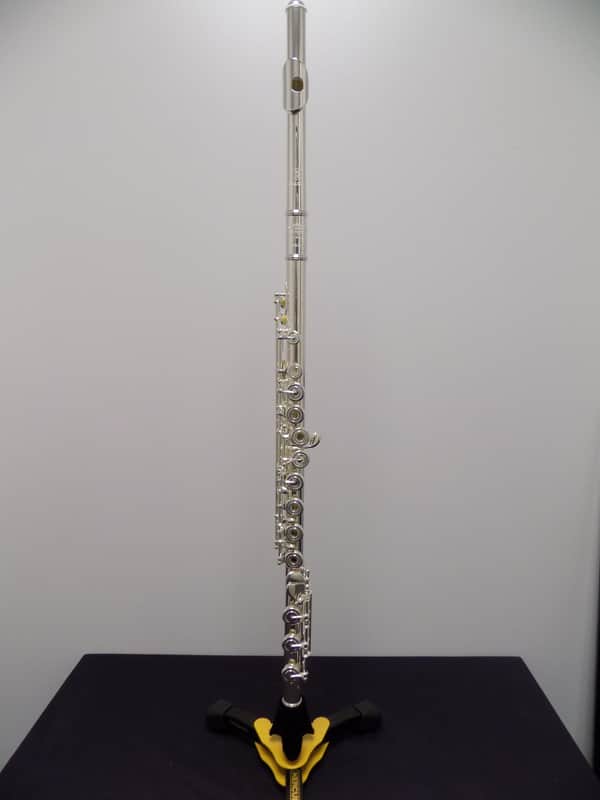 Haynes-Amadeus AF580 Flute w/ Case & Bag image 1