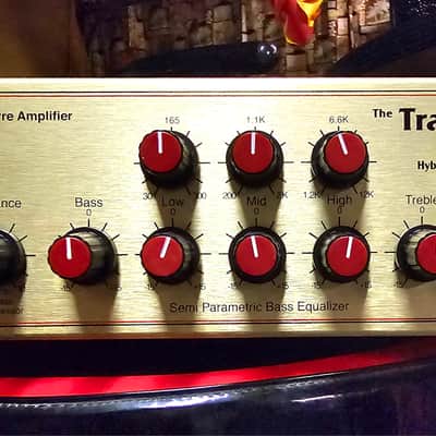 Eden Amplification WT550 Bass Head 2010s - Gold image 2