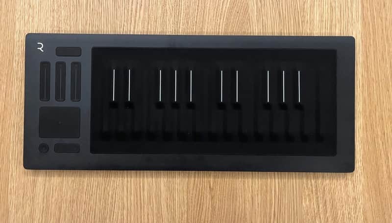 ROLI Seaboard RISE 25 image 1