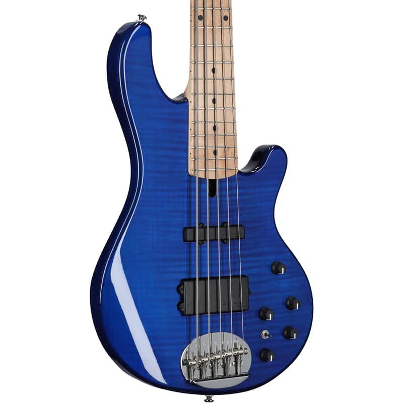 Lakland Skyline 55-02 Custom FMT image 2