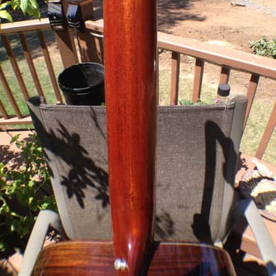 Larrivee D-19 12-String with Flying Eagle Headstock image 8