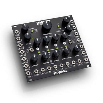 Strymon Magneto image 13