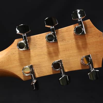 Taylor 210ce Walnut Acoustic-Electric Guitar 314 image 8