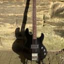 Peavey T-45 Black