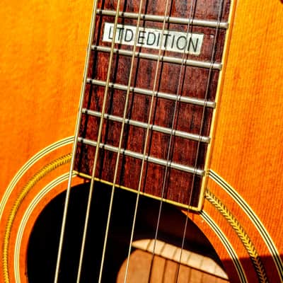 1993 WASHBURN D93 LTD ACOUSTIC GUITAR image 5