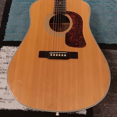Washburn D14N Acoustic Guitar with Spruce Top & Rosewood Back and Sides (Washburn D-14N Model) 1988 image 1