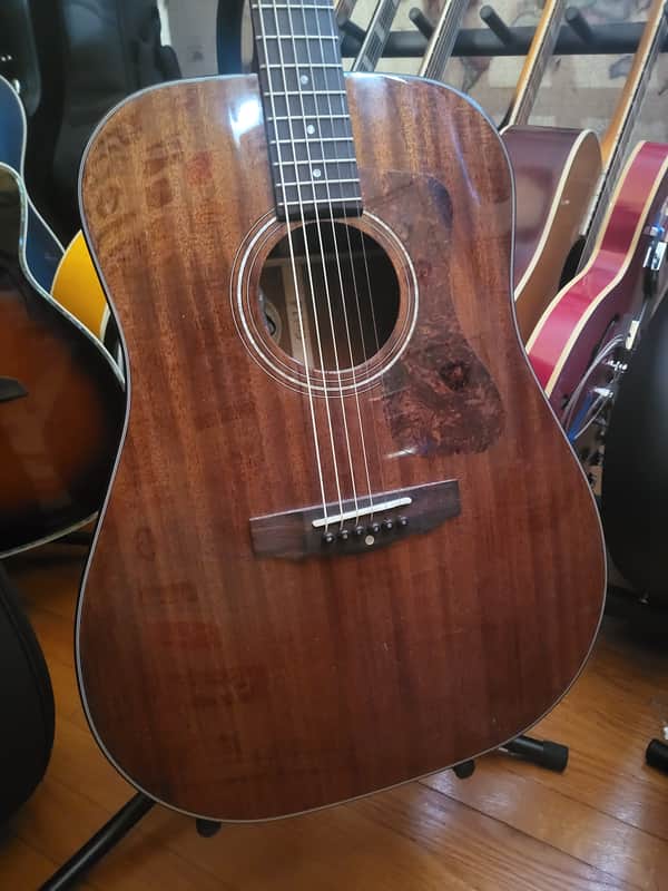 Guild  D-120 Acoustic Electric Guitar w/ L.R.Baqgs HiFi Electronics image 1