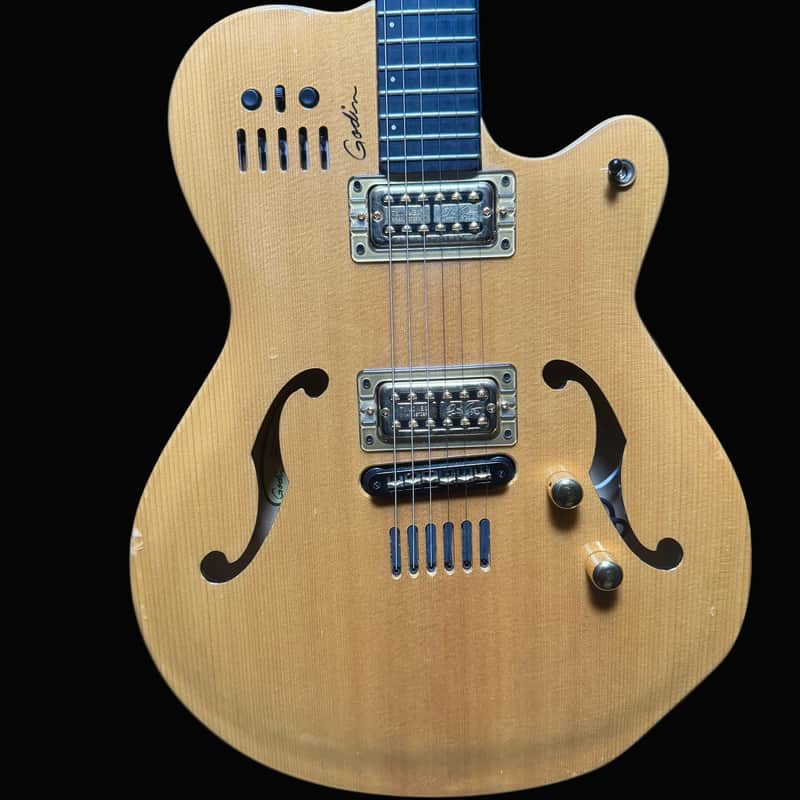 Used Godin Multiac Jazz SA w/Case TFW3023 image 1
