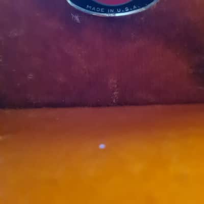 Vintage Lifton Banjo Case60/70's image 9