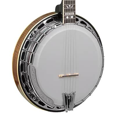 Gold Tone OB-250AT Professional Archtop Bluegrass Banjo image 1