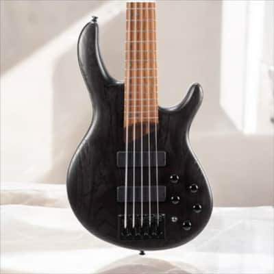 Bacchus WJB5ACT 2025 - Black Burst | Reverb