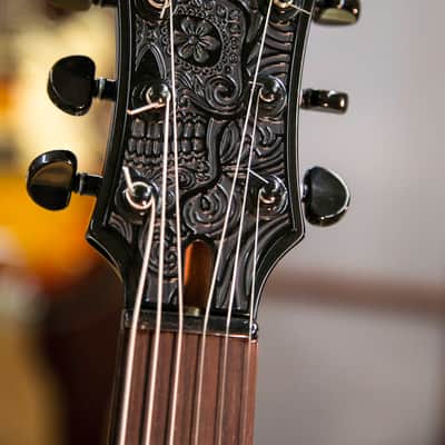 Bluebird Guitars Resonator "Lone Star" 2014 This guitar is not in stock & you need to order it! image 6