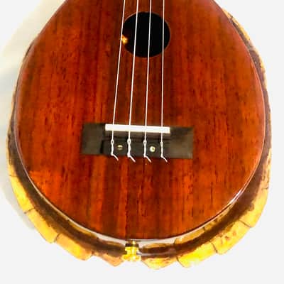 Turtle Shell Tenor Ukulele image 8