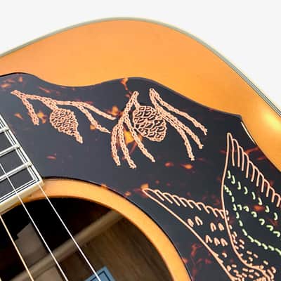 Epiphone FT120 Masterbilt Excellente 2024 Antique Natural image 10