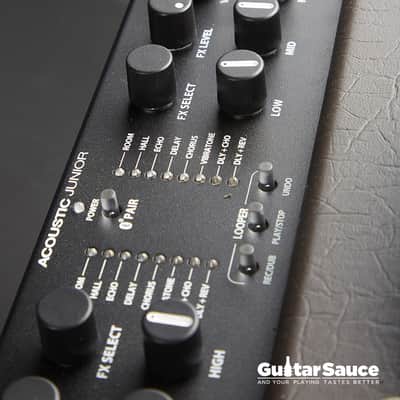 Fender Acoustic Junior Combo 2024 (Cod.AMP_00162) image 8