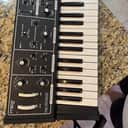 Moog Rogue 1981 - Black