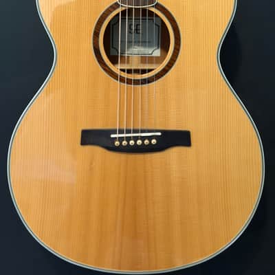 PRS SE Angelus Custom with Electronics 2012 - 2014 - Natural image 2