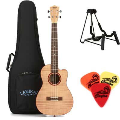 Fender FM-60 -RARE- Electric Mandolin 5 String Sunburst | Reverb