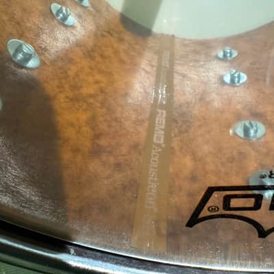 Remo Acousticon SE Shell, Black Quadura 80s - Black image 7