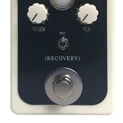 Recovery Effects Dirty Murals Reverb and Delay **Free Shipping in the US** image 1
