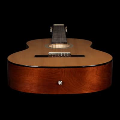 Ortega Student Series Full Size Nylon Classical Guitar image 4
