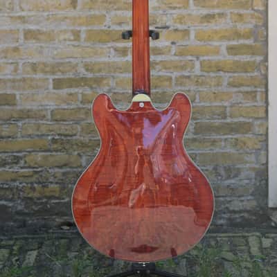 Eastman T486B - Classic image 15