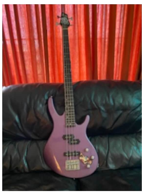 XB100 BASS BASS image 1