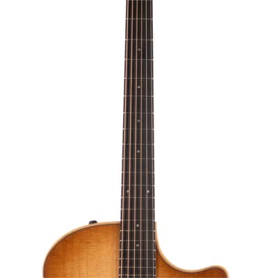 Taylor 314ce Studio SEB (088) image 7