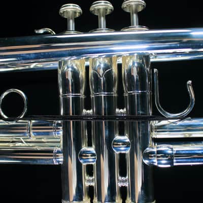 S. E. Shires Custom Series C Trumpet - 401 image 8