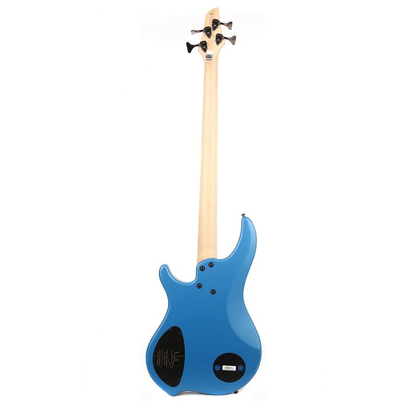 Immagine Dingwall NG2 Adam "Nolly" Getgood Signature 4-String  - 2