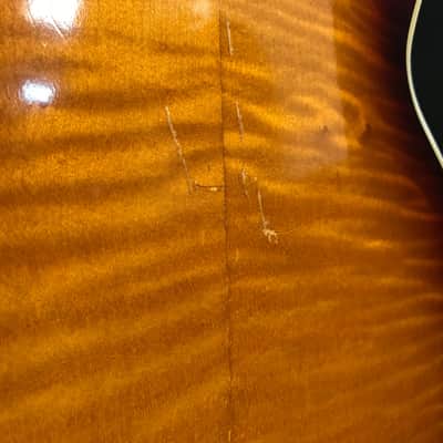 Hofner President Florentine Thinline '66' Brunette 1965 image 18