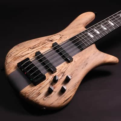 Spector CST limited Edition 2026 - Spalted Maple image 7