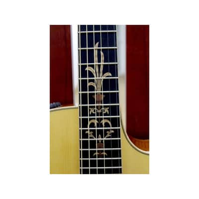 Guitarra Acustica y Amplificador TAYLOR BR-III Acoustic Guitar Amp Set image 8