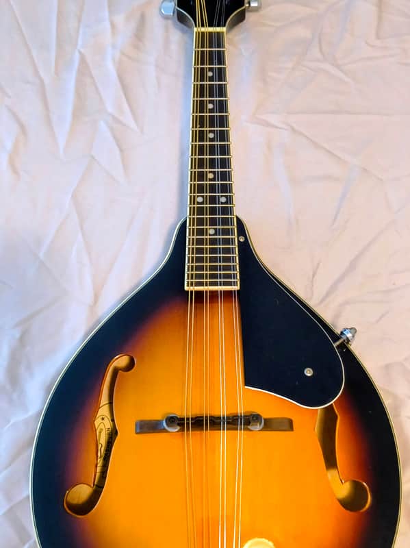 Washburn M1K 2014 - Gloss
