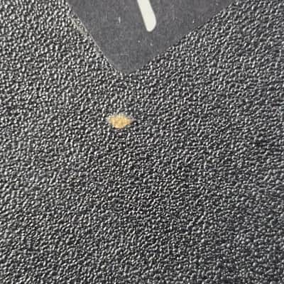 Fender Mustang 1 image 15