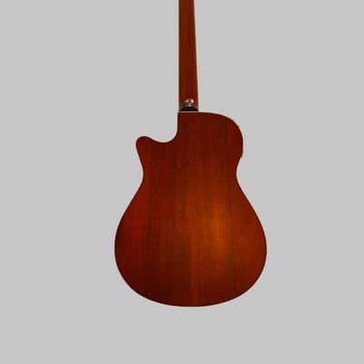 Ibanez 5-String Acoustic/Electric Bass AEB305-LG-OP-01 Made In Korea image 2