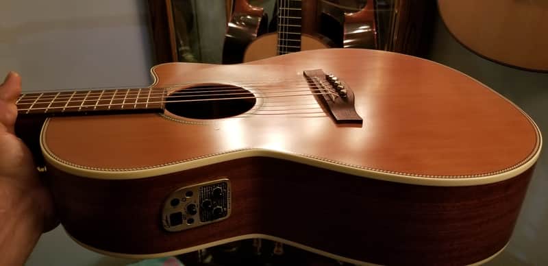 seagull artist artist mosaic CW folk deluxe Qii n/a laquer matte image 1