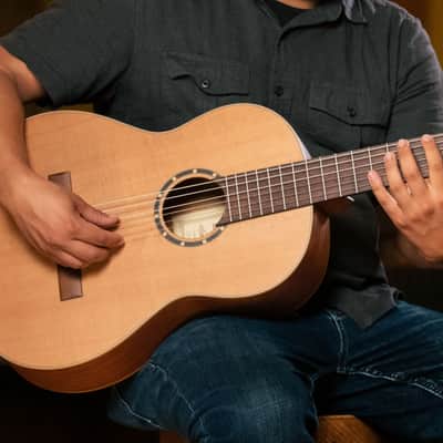 Ortega R131 Family Series Pro Solid Cedar Top Mahogany Neck Nylon 6-String Classical Acoustic Guitar w/Gig Bag image 18