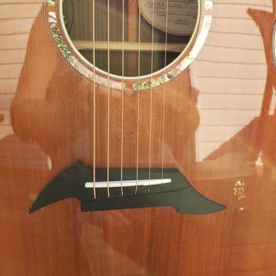 Breedlove Masterclass Focus SE Redwood (2000s) image 2