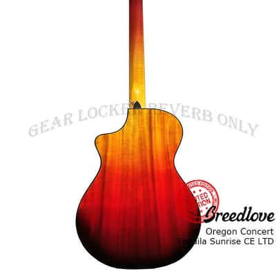 Breedlove Oregon Concert Tequila Sunrise CE LTD 2023 all solid Sitka Spruce & Myrtlewood guitar image 6